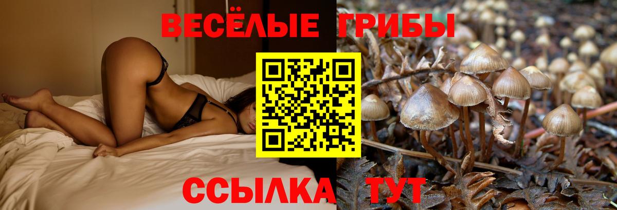 Артёмовский  Галлюциногенные грибы мухоморы  Псилоцибиновые грибы MAGIC MUSHROOMS  Вход с VPN 